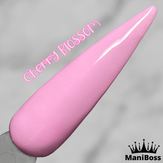 Cherry Blossom