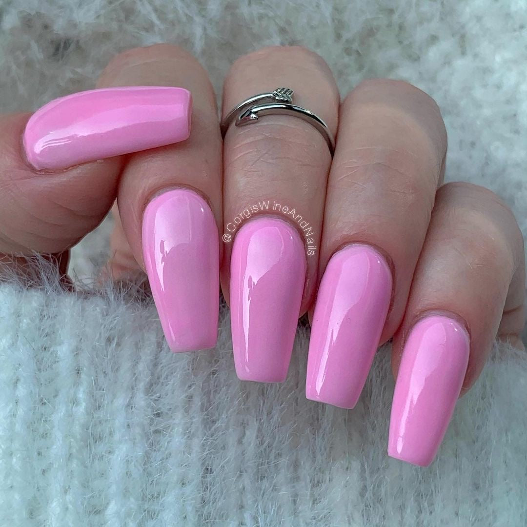Cherry Blossom
